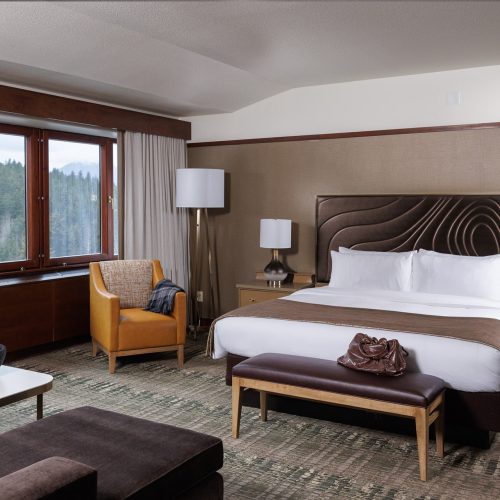 Black Diamond Executive Suite at Alyeska Resort